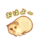 タマ 実写風猫スタンプ（個別スタンプ：19）