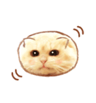 タマ 実写風猫スタンプ（個別スタンプ：21）