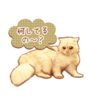 タマ 実写風猫スタンプ（個別スタンプ：26）