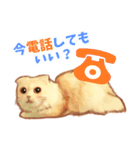 タマ 実写風猫スタンプ（個別スタンプ：33）