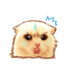 タマ 実写風猫スタンプ（個別スタンプ：37）