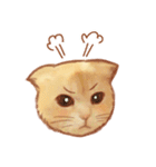 タマ 実写風猫スタンプ（個別スタンプ：38）