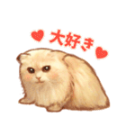 タマ 実写風猫スタンプ（個別スタンプ：39）