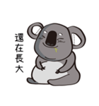 Koala's life 1（個別スタンプ：9）