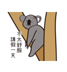Koala's life 1（個別スタンプ：28）