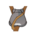 Koala's life 1（個別スタンプ：38）