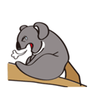 Koala's life 1（個別スタンプ：39）