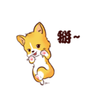 Corgi want to say（個別スタンプ：1）