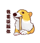 Corgi want to say（個別スタンプ：2）