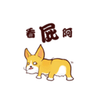Corgi want to say（個別スタンプ：9）