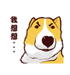 Corgi want to say（個別スタンプ：11）