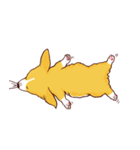 Corgi want to say（個別スタンプ：14）