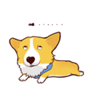 Corgi want to say（個別スタンプ：17）