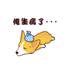 Corgi want to say（個別スタンプ：19）