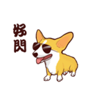 Corgi want to say（個別スタンプ：21）
