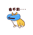 Corgi want to say（個別スタンプ：22）