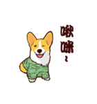 Corgi want to say（個別スタンプ：23）