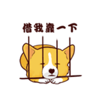Corgi want to say（個別スタンプ：28）
