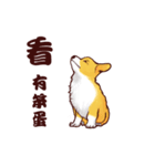 Corgi want to say（個別スタンプ：30）