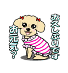 トイプーまろん❤（個別スタンプ：5）