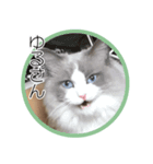 らぐどーるのまぐろ（個別スタンプ：7）