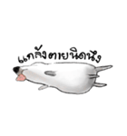 TUMJEW（個別スタンプ：5）