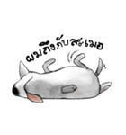 TUMJEW（個別スタンプ：29）