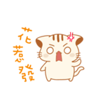 cute kitten sticker（個別スタンプ：11）