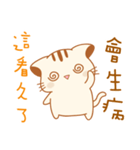 cute kitten sticker（個別スタンプ：16）