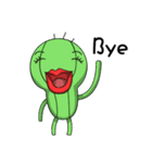 Cacti（個別スタンプ：24）