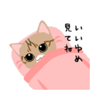 にゃんず日記＆ちいさなチカラ（個別スタンプ：6）