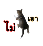 My name's P'TO（個別スタンプ：5）