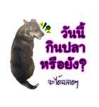 My name's P'TO（個別スタンプ：6）