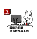 Office bunny-4（個別スタンプ：16）