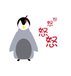 cool cool penguin（個別スタンプ：1）