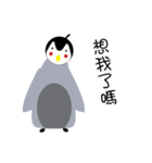 cool cool penguin（個別スタンプ：2）