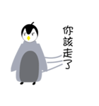 cool cool penguin（個別スタンプ：7）