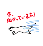 インテリなオコジョ君（個別スタンプ：5）