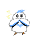 The pet phrase of flying birds（個別スタンプ：8）