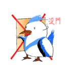 The pet phrase of flying birds（個別スタンプ：10）