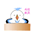 The pet phrase of flying birds（個別スタンプ：11）