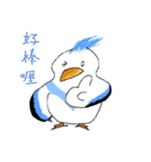 The pet phrase of flying birds（個別スタンプ：19）