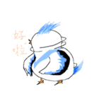 The pet phrase of flying birds（個別スタンプ：23）