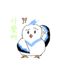 The pet phrase of flying birds（個別スタンプ：28）
