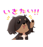 犬のチョコくん その3（個別スタンプ：6）