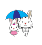 Rabbit V.1（個別スタンプ：24）