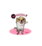 PUPPY MUNNE（個別スタンプ：1）