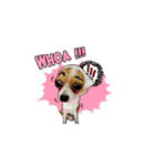 PUPPY MUNNE（個別スタンプ：2）