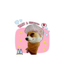 PUPPY MUNNE（個別スタンプ：3）