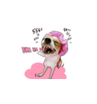 PUPPY MUNNE（個別スタンプ：4）